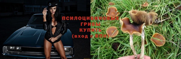 spice Куйбышев